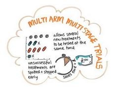 Workshop: Statistical and practical aspects of the design, analysis, and conduct of Multi-Arm Multi-Stage (MAMS) Platform Trials