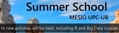 XII Summer School in Statistics (MESIO UPC-UB)